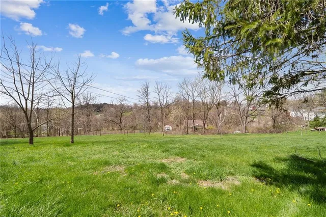 a view of a yard with a tree