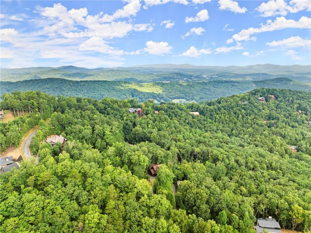 710 Deer Crest Road Blue Ridge, GA 30513 - Photo 93 of 96 Gallery Image 93