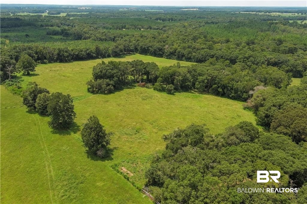 0 Circle R Farm Drive Florala, AL 36442 - Photo 8 of 25