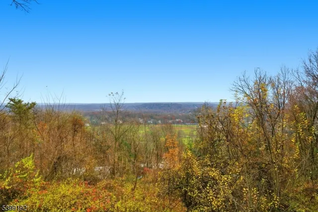 a view of a yard in front of a house with large tree