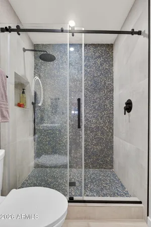 a bathroom with a shower and a toilet