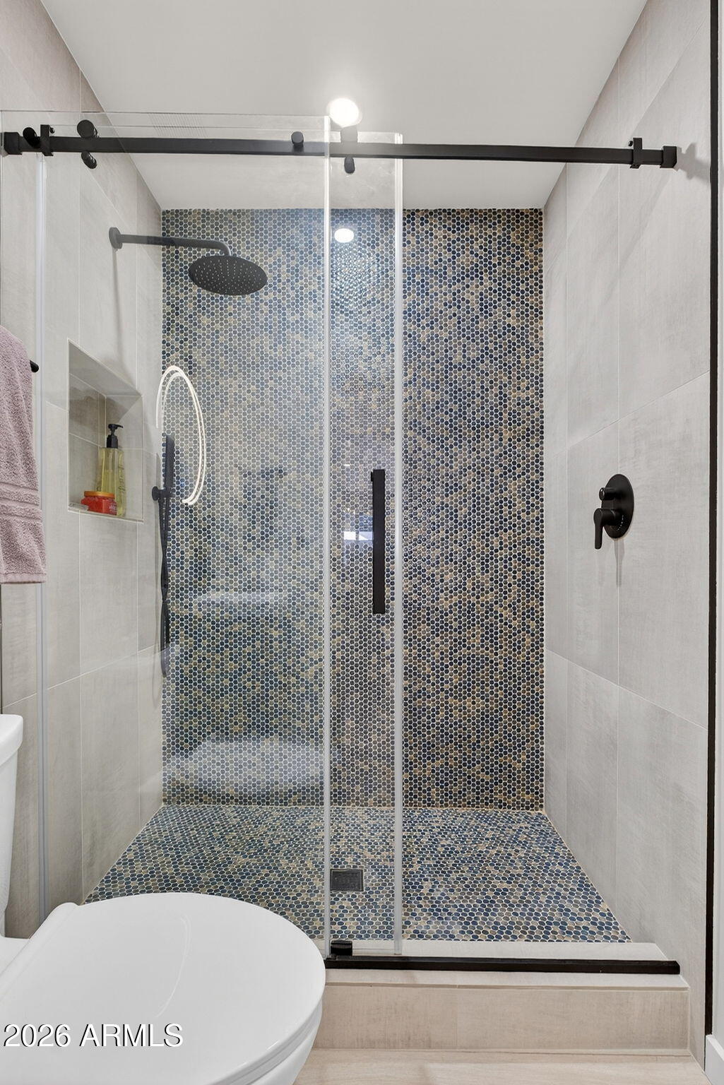 938 West Portland Street Phoenix, AZ 85007 - Photo 37 of 57 Guest bathroom