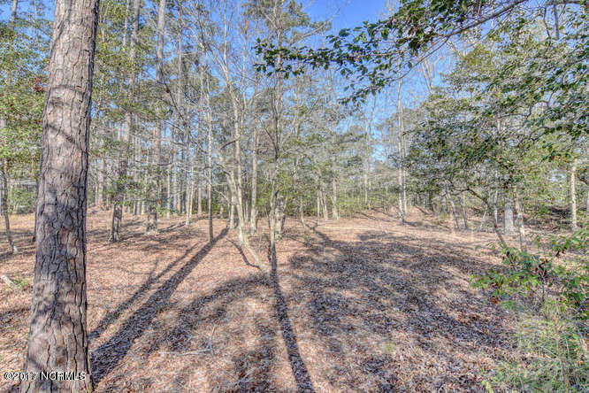 Lot 53 Canvasback Point Hampstead, NC 28443 - Photo 1 of 10 20170328114748733895000000-o