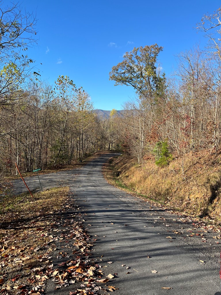 41-42 43 Ridges Hayesville, NC 28904 - Photo 2 of 16