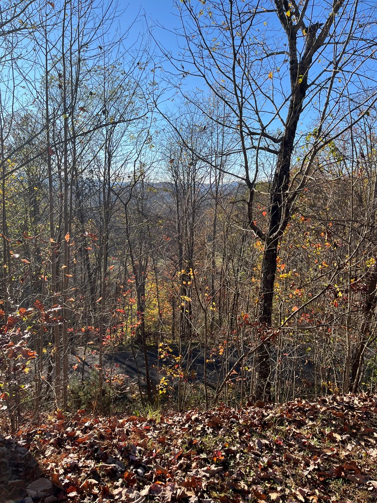 41-42 43 Ridges Hayesville, NC 28904 - Photo 3 of 16