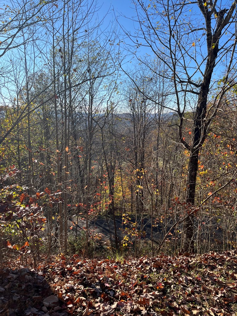 41-42 43 Ridges Hayesville, NC 28904 - Photo 4 of 16