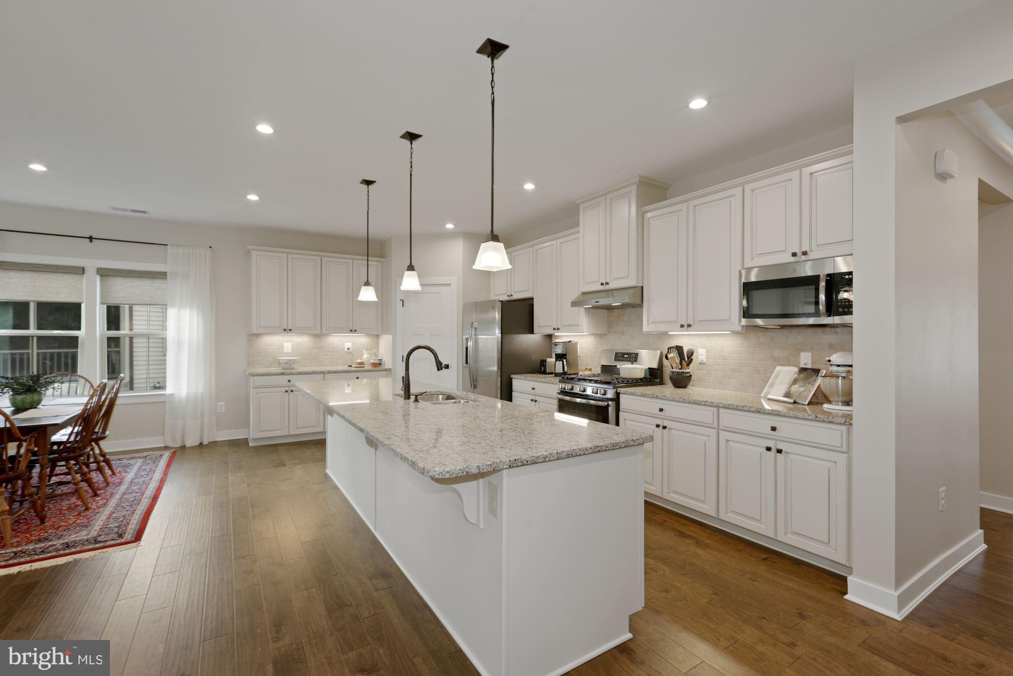 23576 Robalo Road Frankford, DE 19945 - Photo 9 of 47 Gourmet Kitchen | Granite Counters