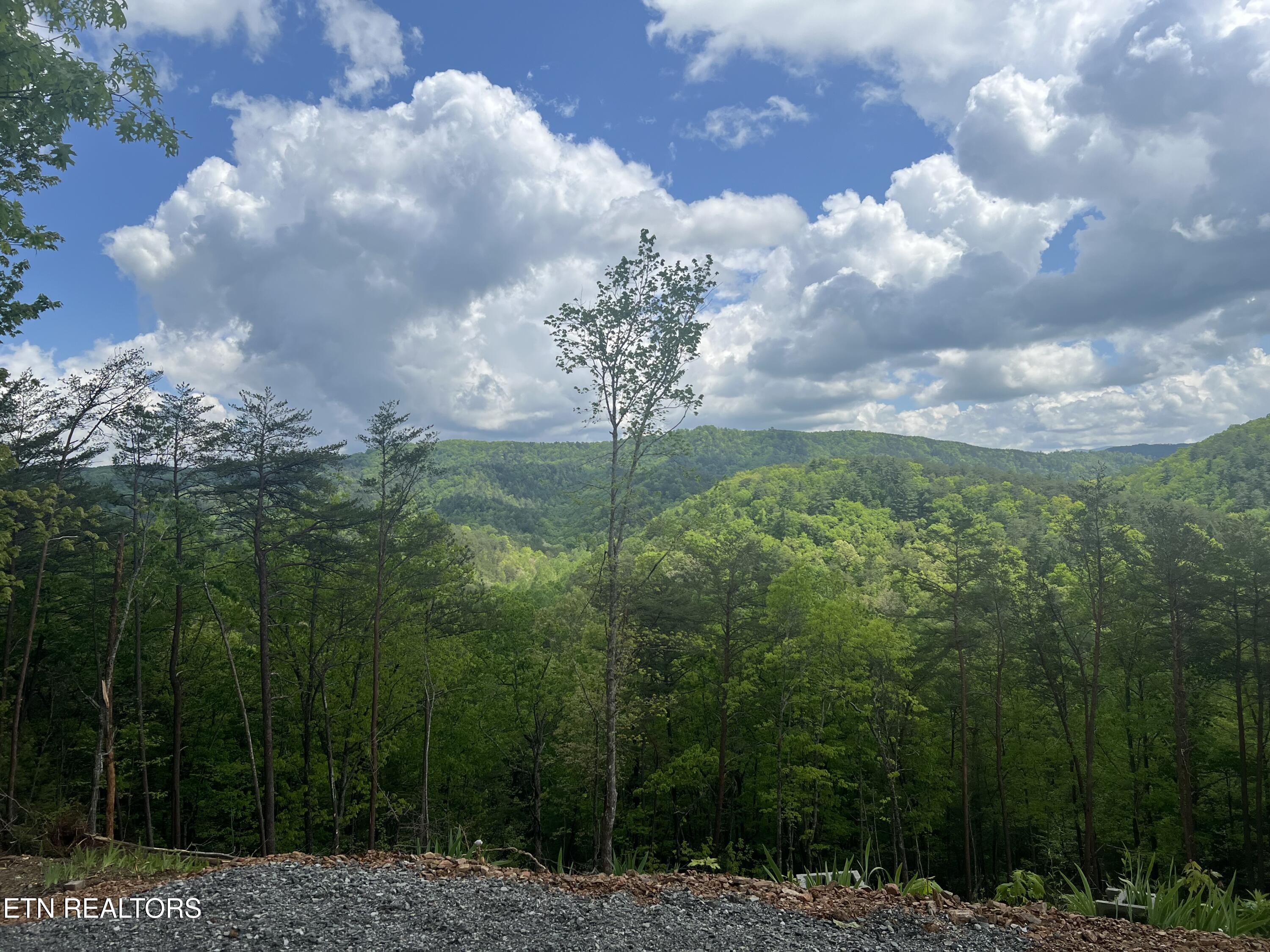 625 Cane Creek Mountain Road Tellico Plains, TN 37385 - Photo 2 of 51 IMG_2273