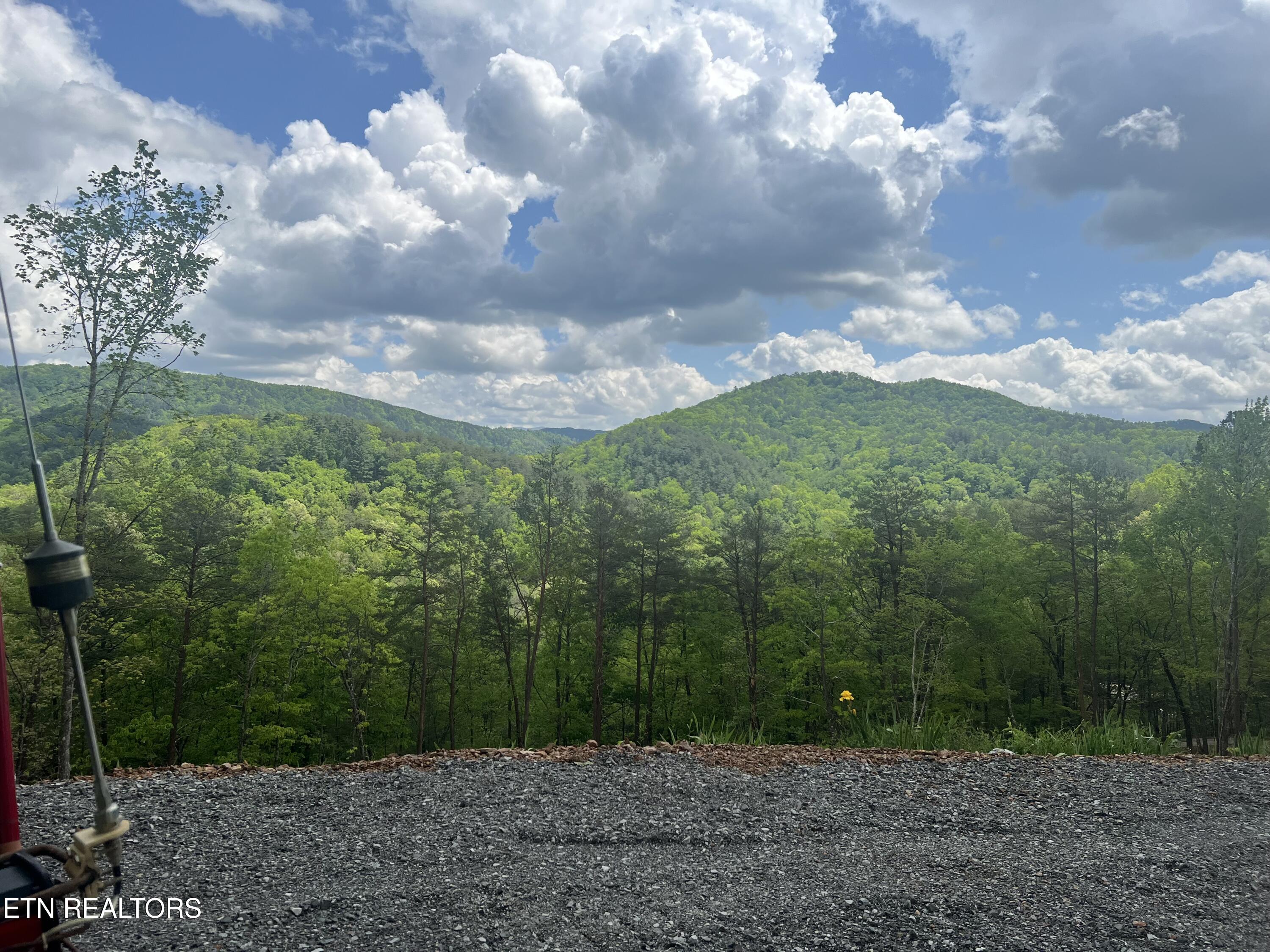 625 Cane Creek Mountain Road Tellico Plains, TN 37385 - Photo 45 of 51 IMG_2270