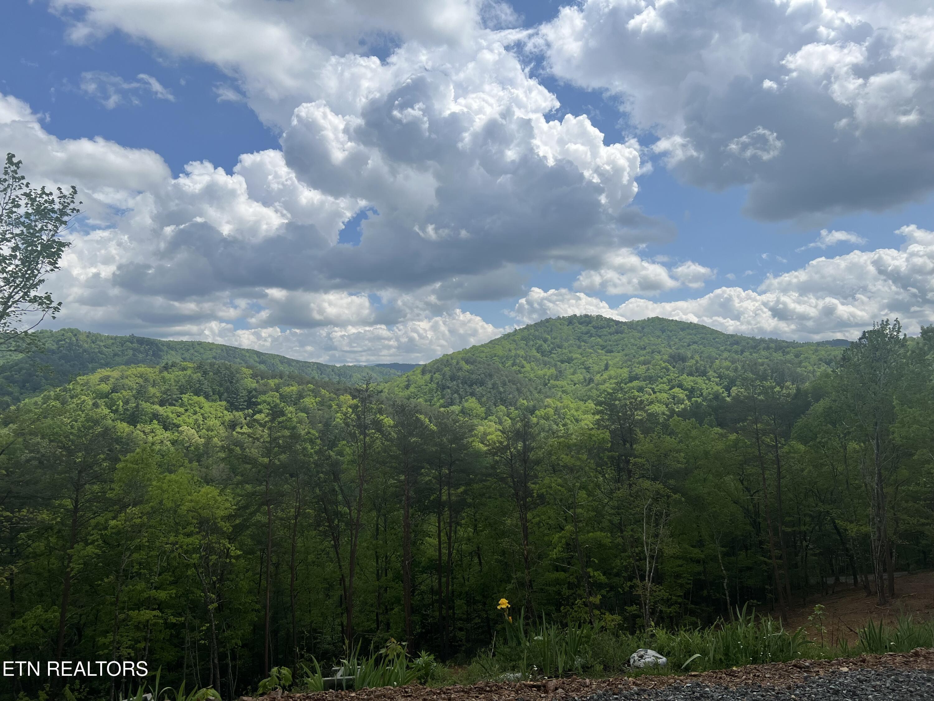625 Cane Creek Mountain Road Tellico Plains, TN 37385 - Photo 50 of 51 IMG_2274