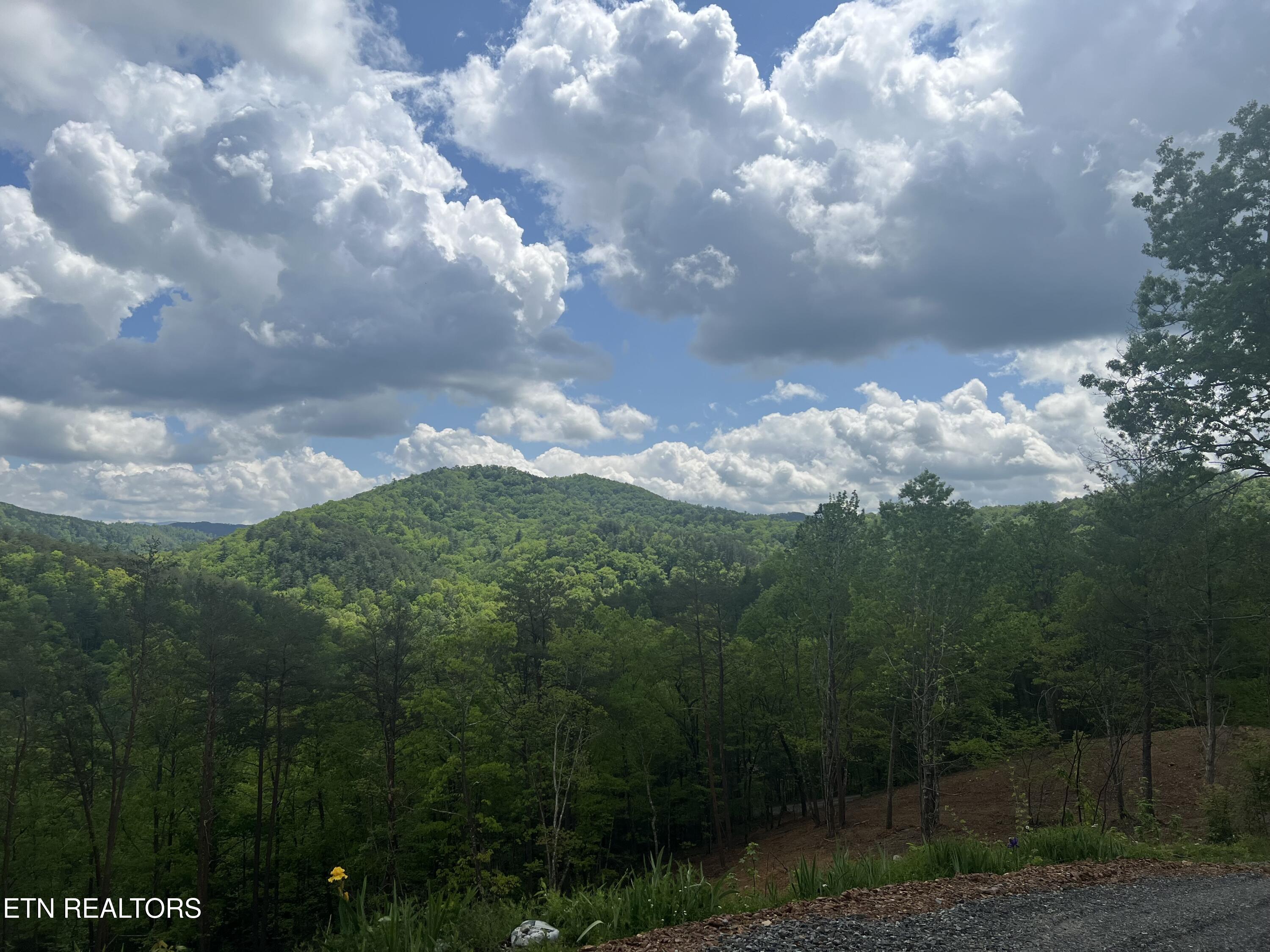 625 Cane Creek Mountain Road Tellico Plains, TN 37385 - Photo 51 of 51 IMG_2275