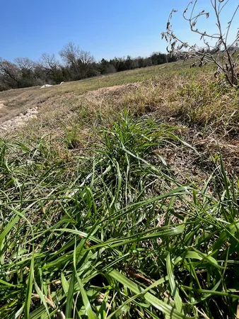 a view of a lake in a field