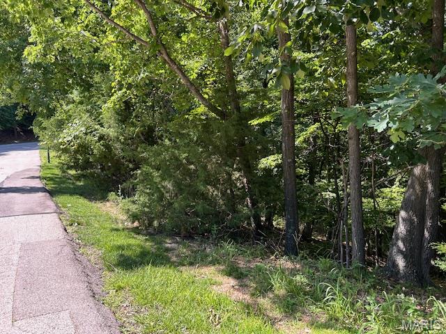 817 Wildflower Valley Road High Ridge, MO 63049 - Photo 5 of 11