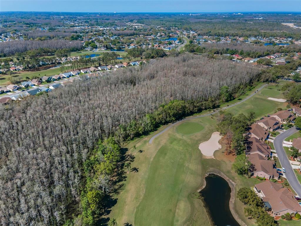 9713 Sweeping View Drive New Port Richey, FL 34655 - Photo 36 of 75