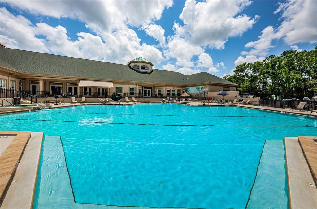 9713 Sweeping View Drive New Port Richey, FL 34655 - Photo 58 of 75