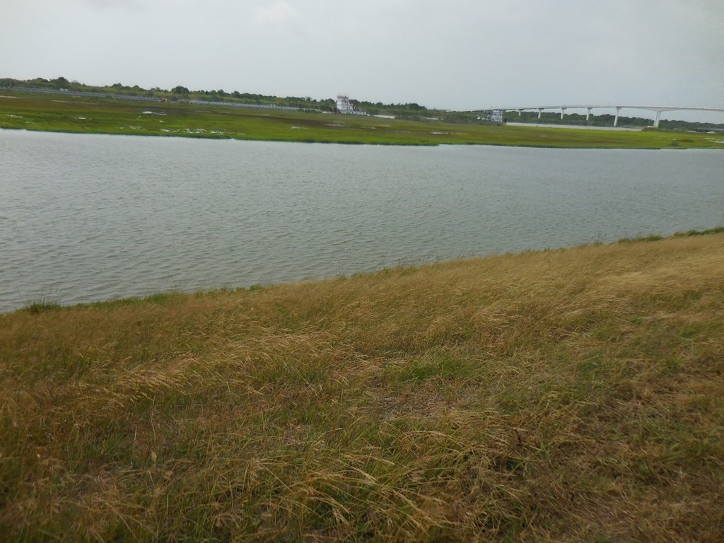 0 Matagorda Street Matagorda, TX 77457 - Photo 4 of 5 a view of an ocean and beach