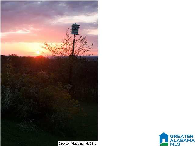 6211 Highway 29 Oneonta, AL 35121 - Photo 2 of 24