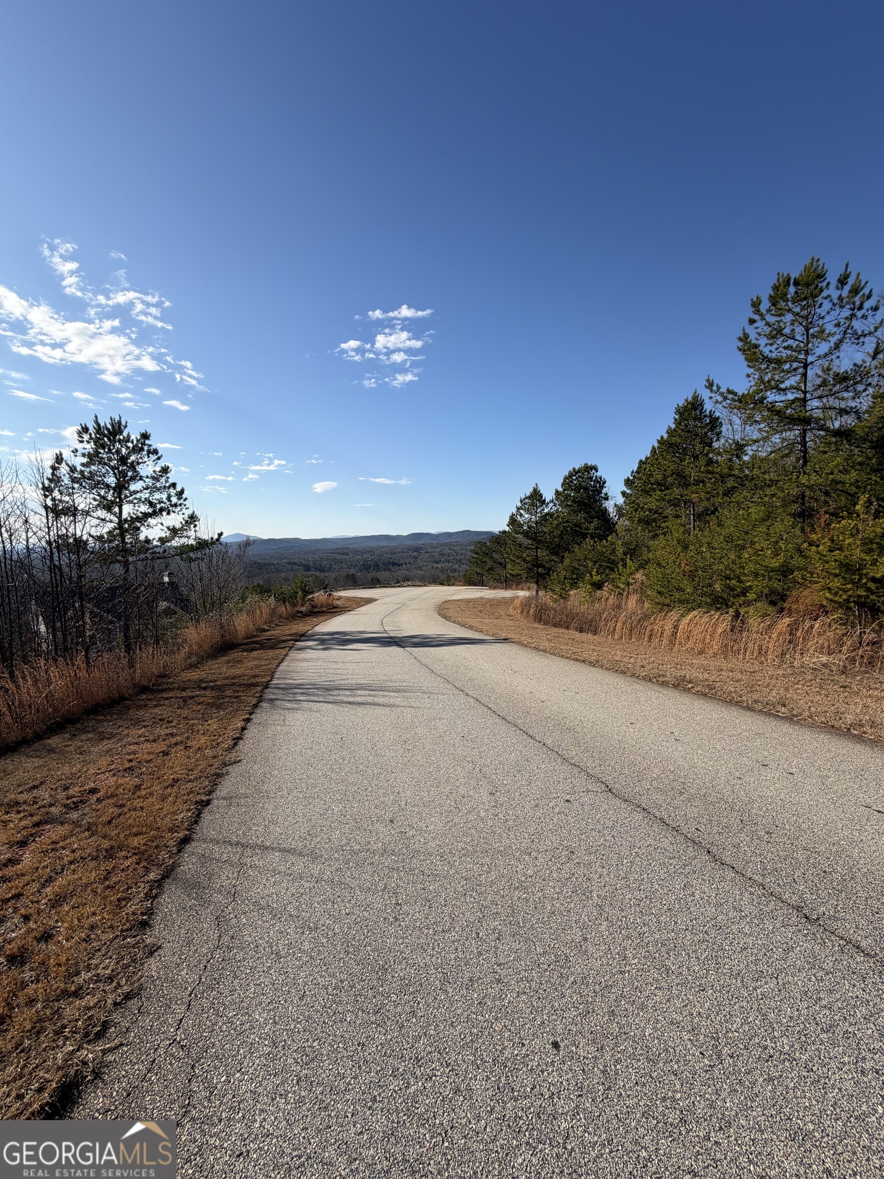 0 Mountain Ridge Drive, Unit LOT 42 Clarkesville, GA 30523 - Photo 4 of 7 a view of an outdoor space and a street view