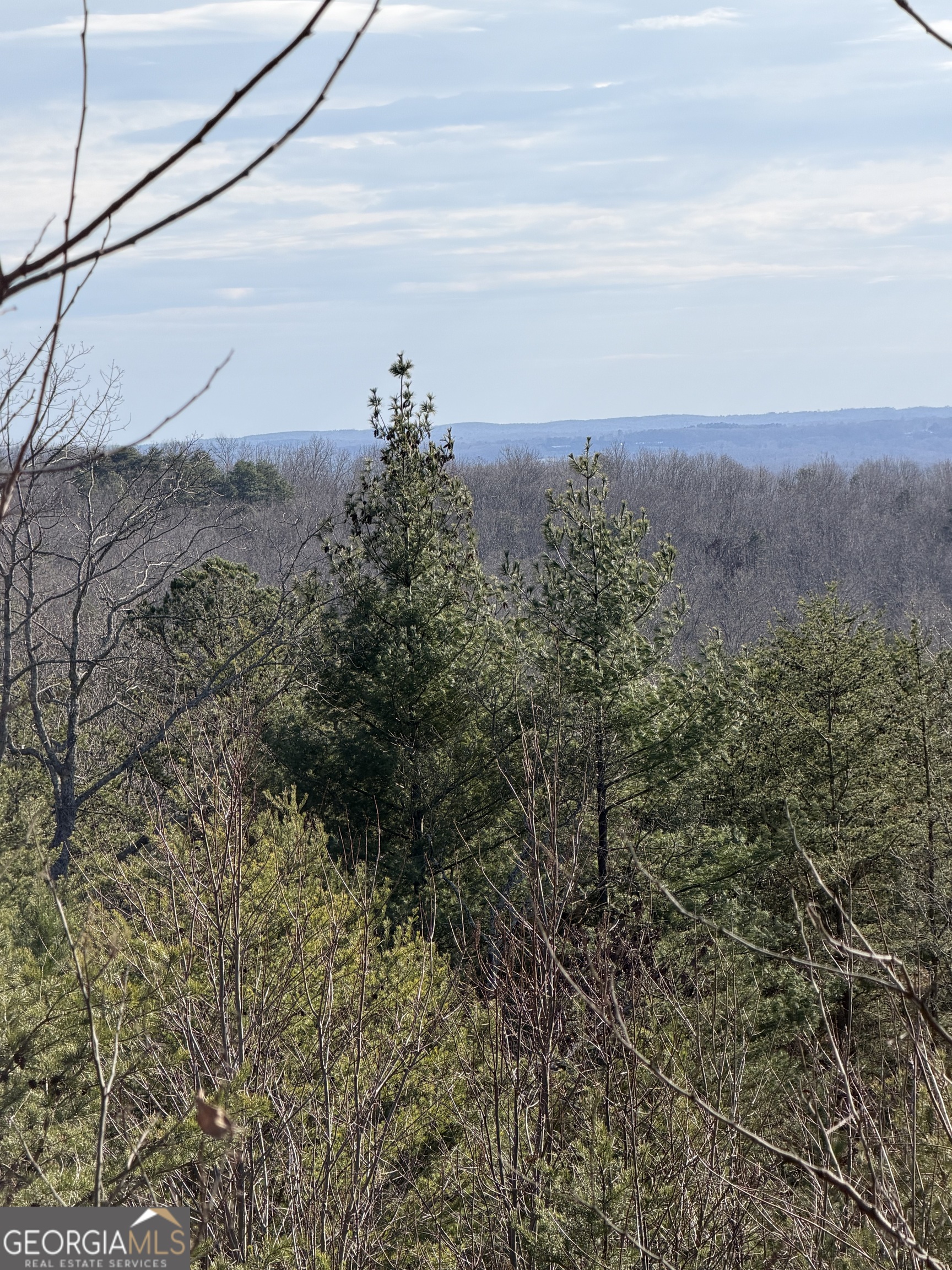 0 Mountain Ridge Drive, Unit LOT 42 Clarkesville, GA 30523 - Photo 5 of 7 a view of a field