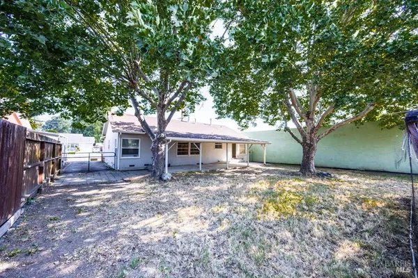 a view of a yard with large tree
