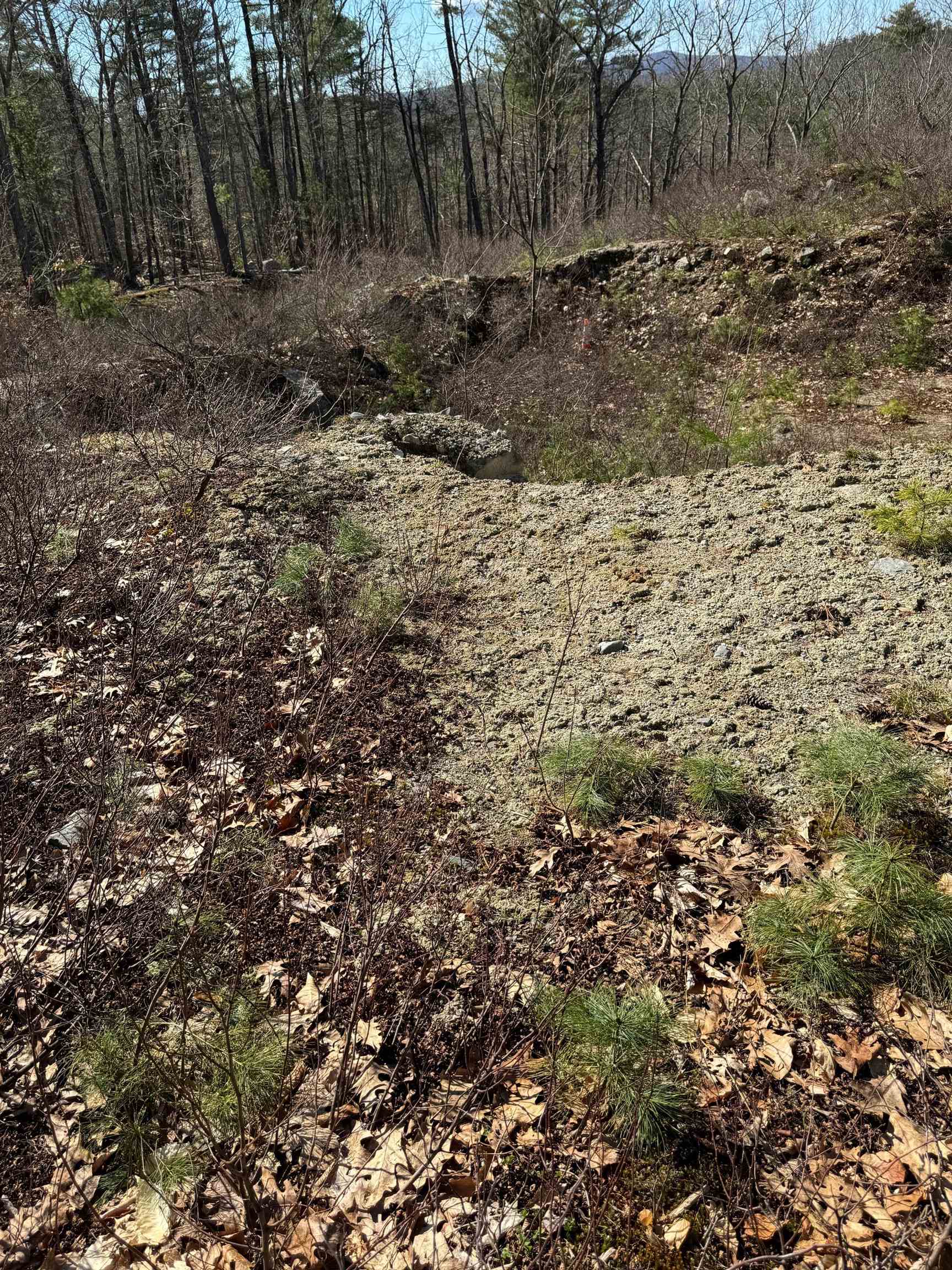 409 Powder Mill Road Alton, NH 03809 - Photo 14 of 20