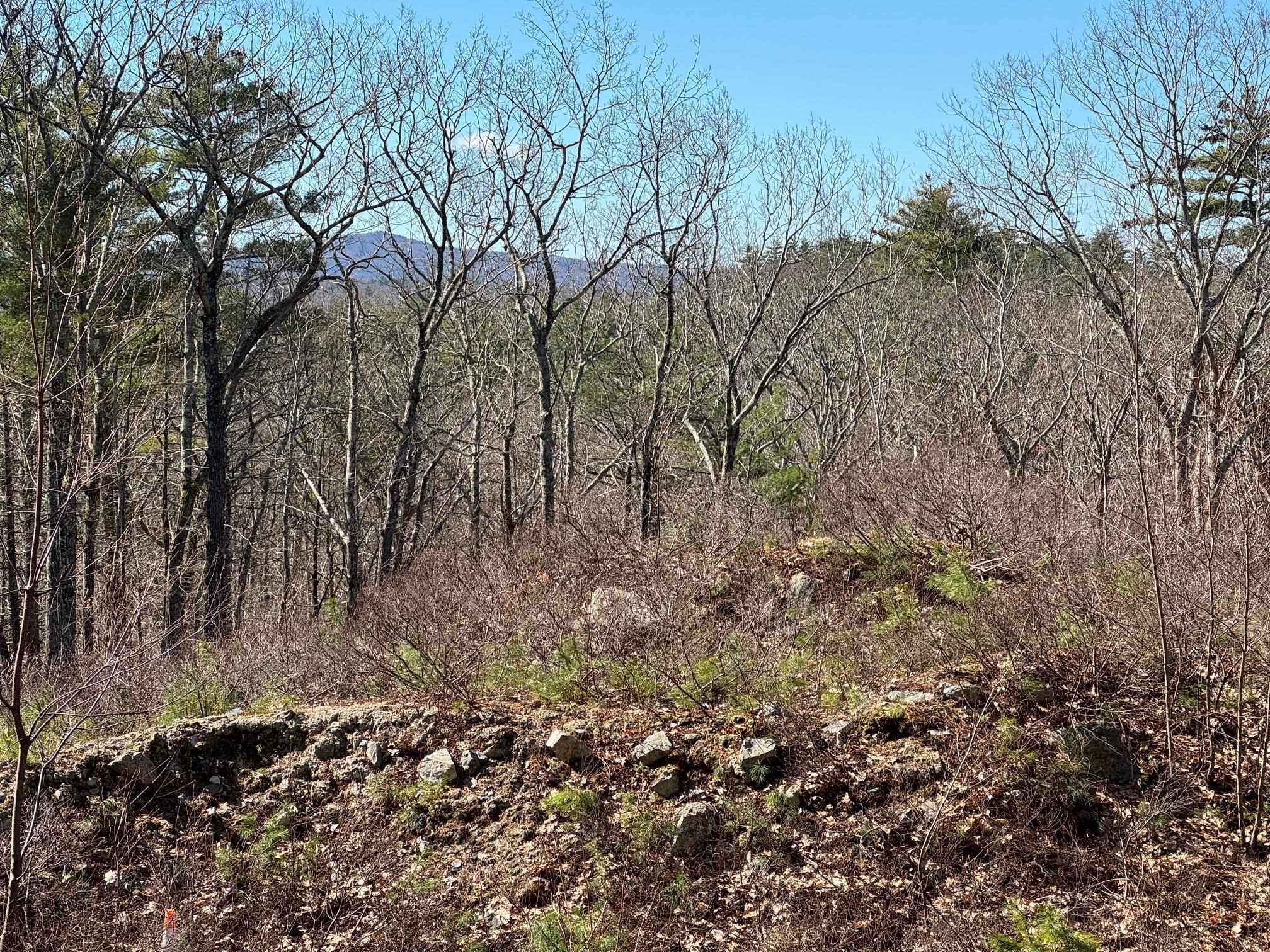 409 Powder Mill Road Alton, NH 03809 - Photo 15 of 20