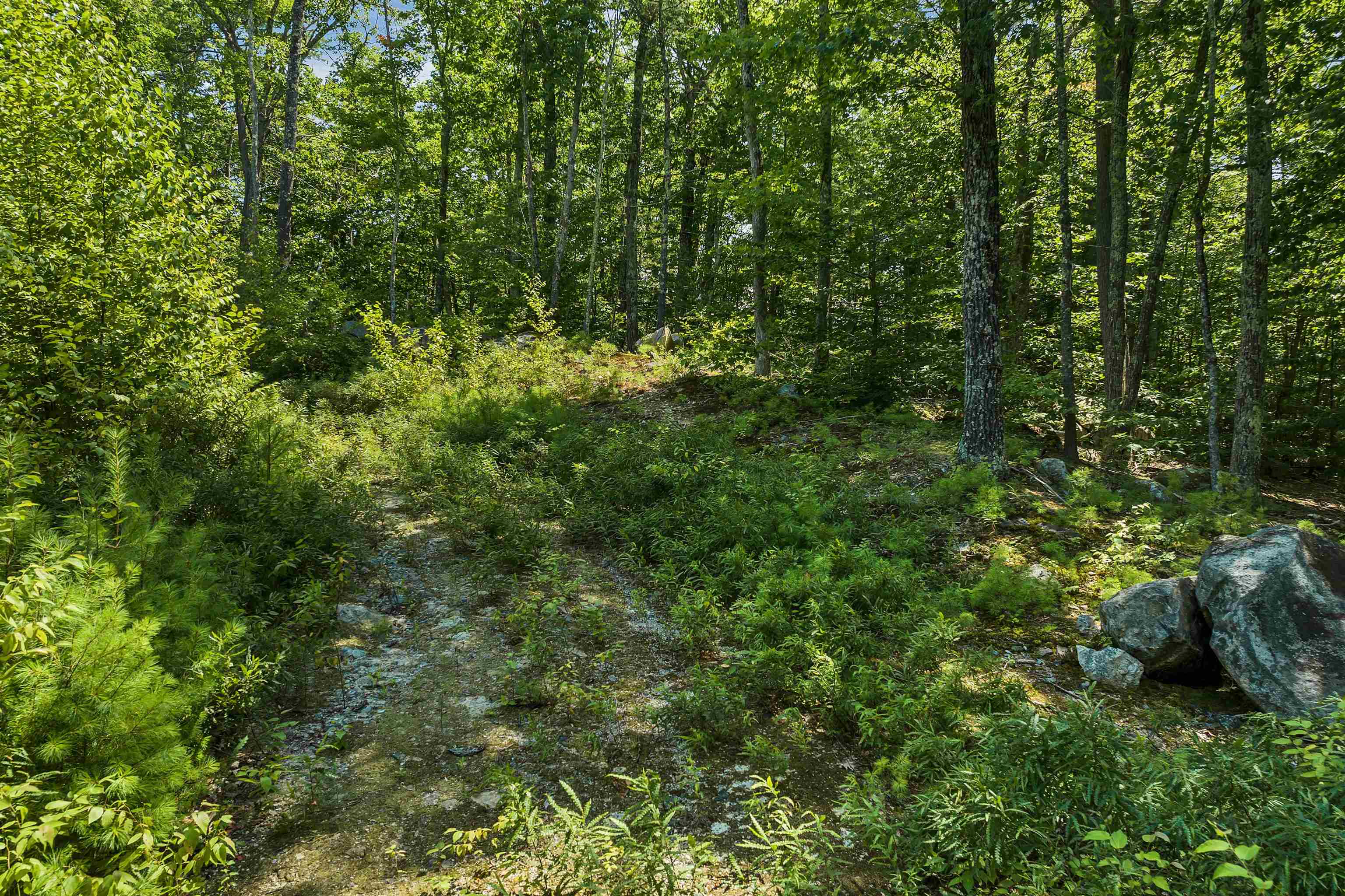 409 Powder Mill Road Alton, NH 03809 - Photo 19 of 20