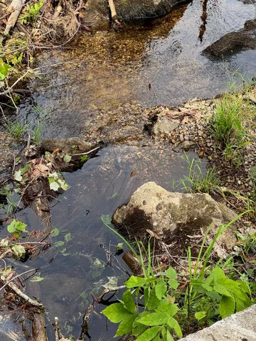 $350,000 | 409 Powder Mill Road, Alton, NH 03809