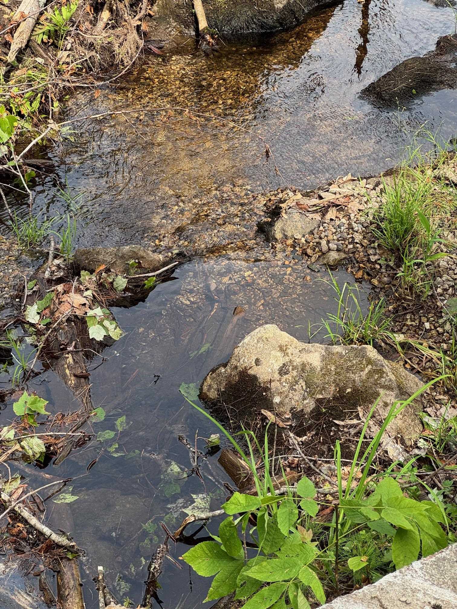 409 Powder Mill Road Alton, NH 03809 - Photo 20 of 20