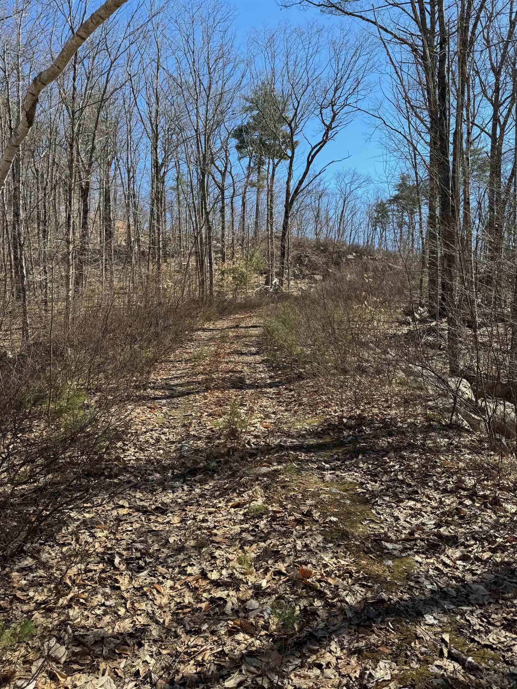 409 Powder Mill Road Alton, NH 03809 - Photo 5 of 20