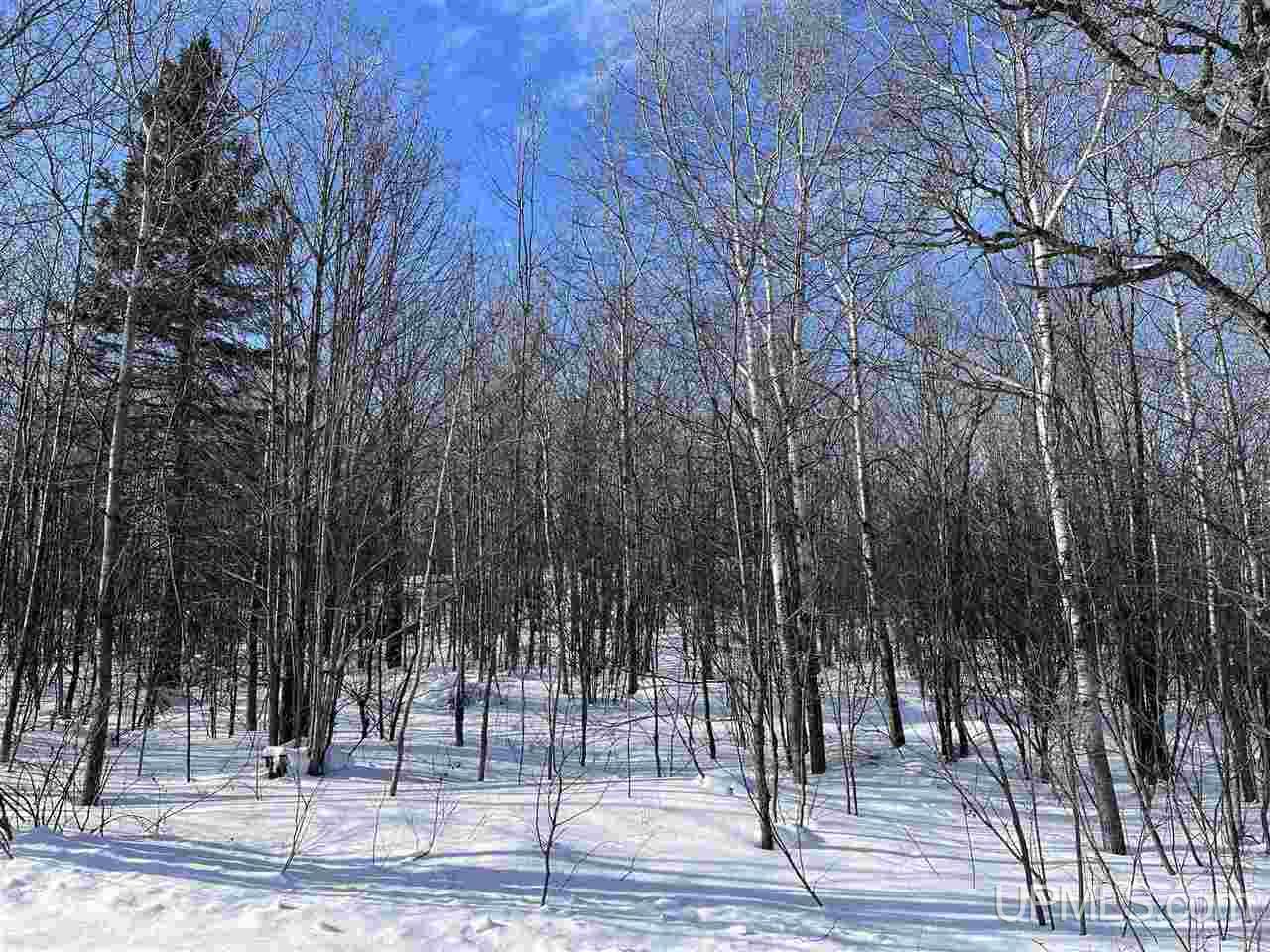 Tbd Harding Road Bessemer, MI 49911 - Photo 4 of 21