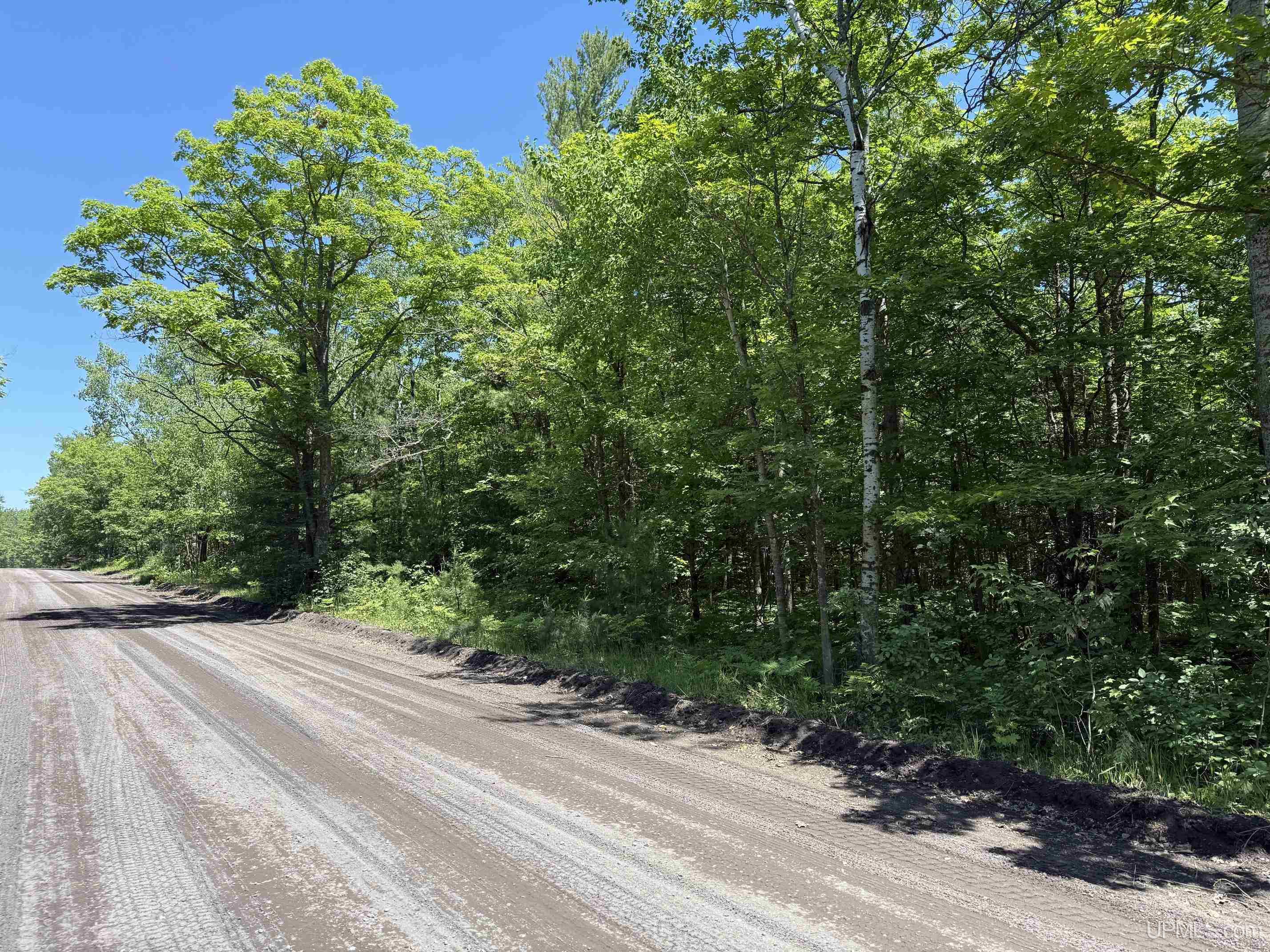 Tbd10 Upper Point Mills Road Hancock, MI 49922 - Photo 5 of 14