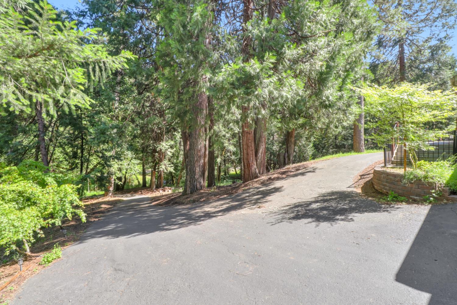 4909 Clear Creek Road Placerville, CA 95667 - Photo 62 of 66