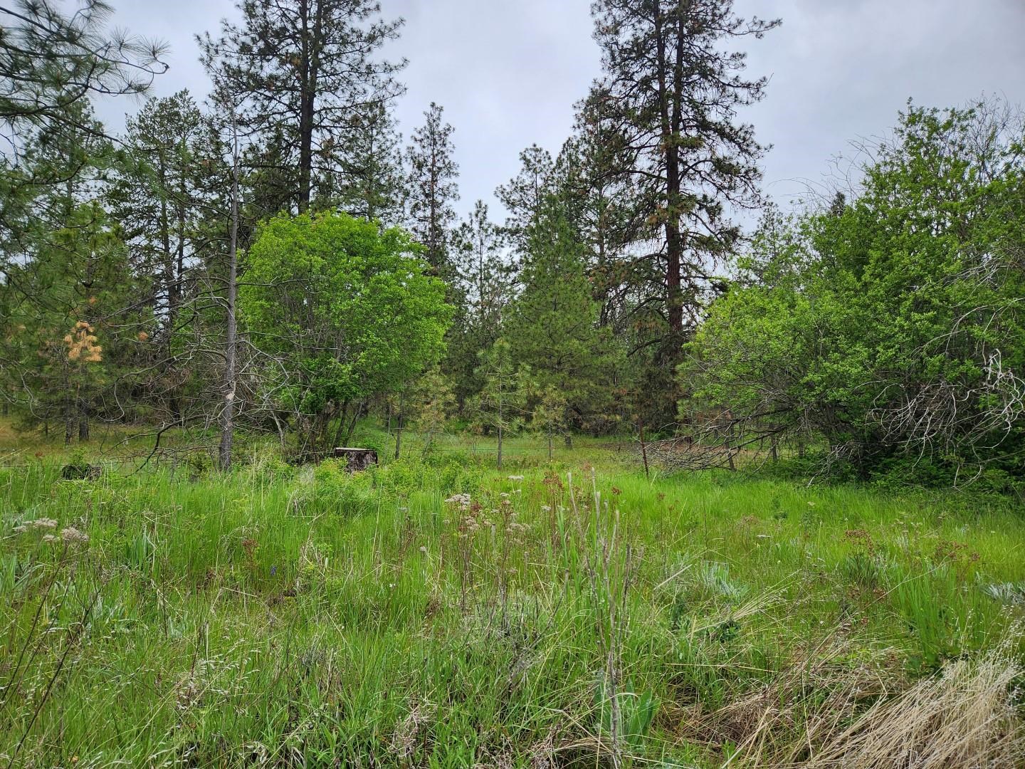 26237 North Spotted Road Deer Park, WA 99006 - Photo 26 of 32