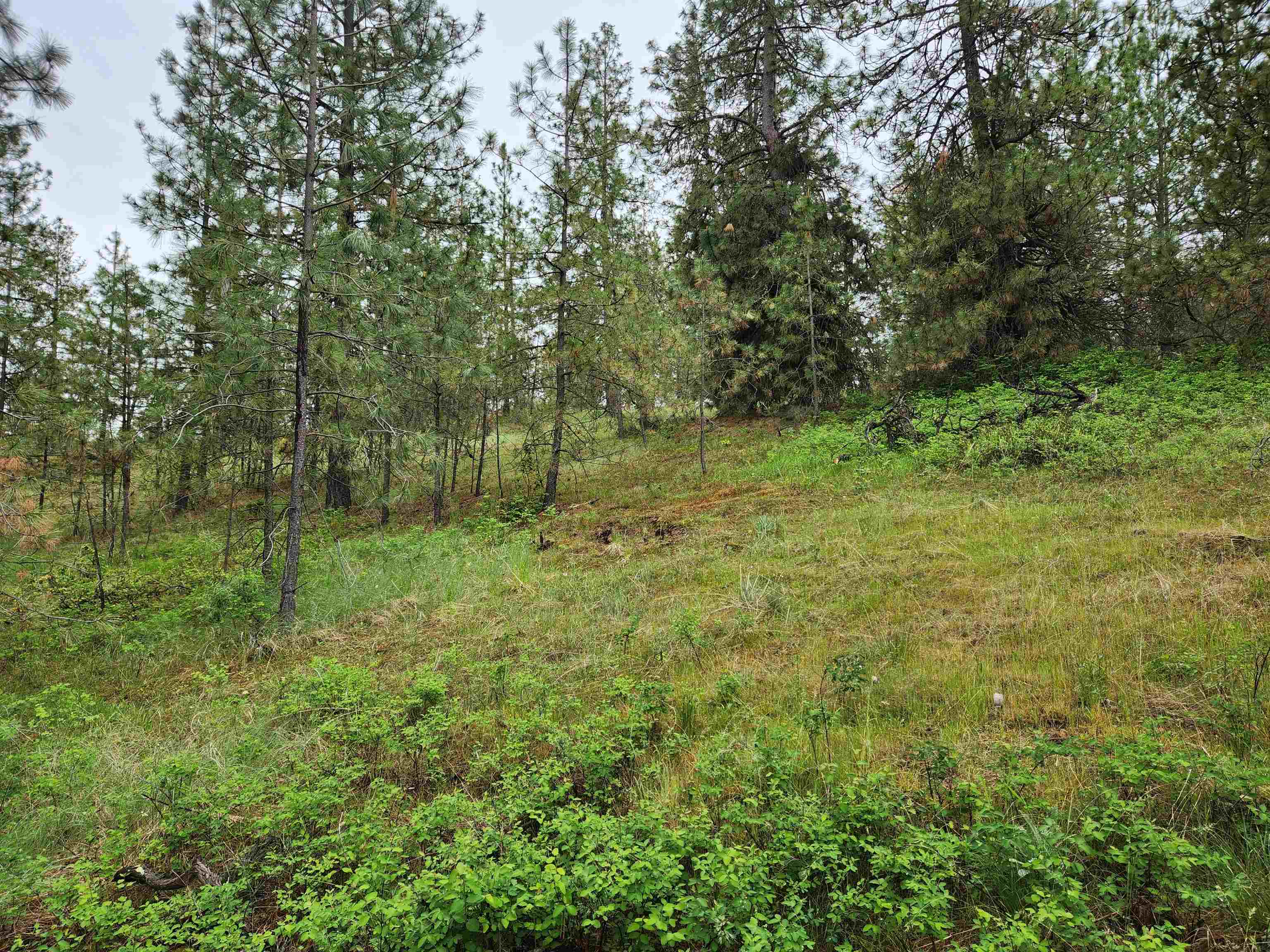 26237 North Spotted Road Deer Park, WA 99006 - Photo 27 of 32