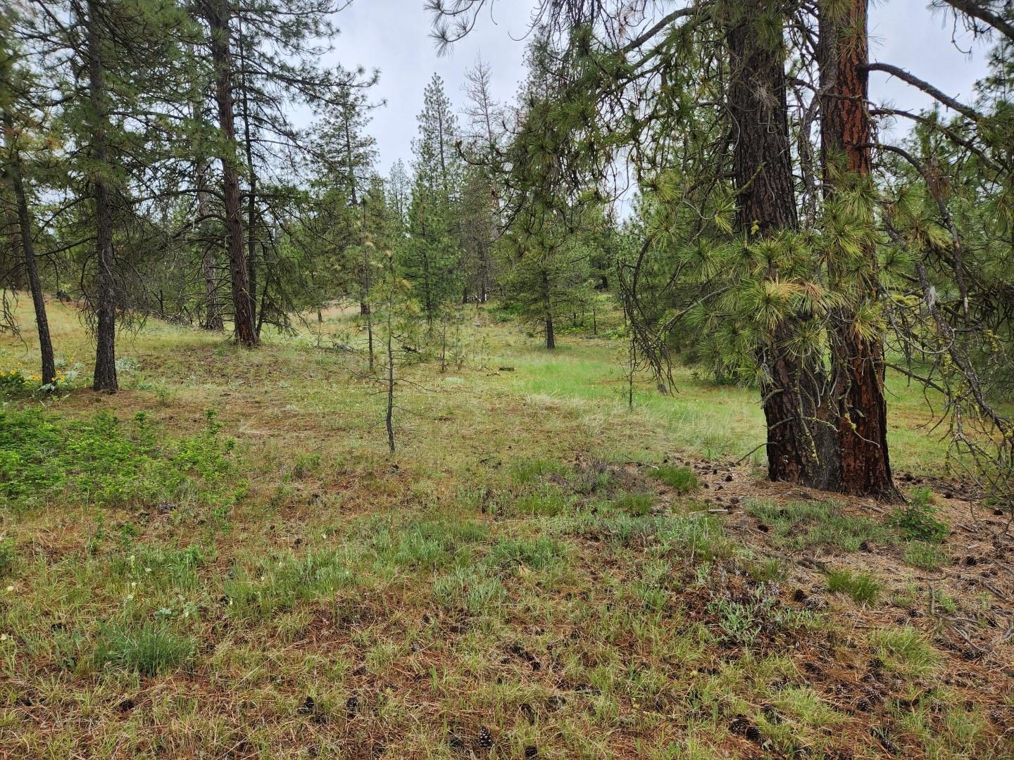 26237 North Spotted Road Deer Park, WA 99006 - Photo 29 of 32