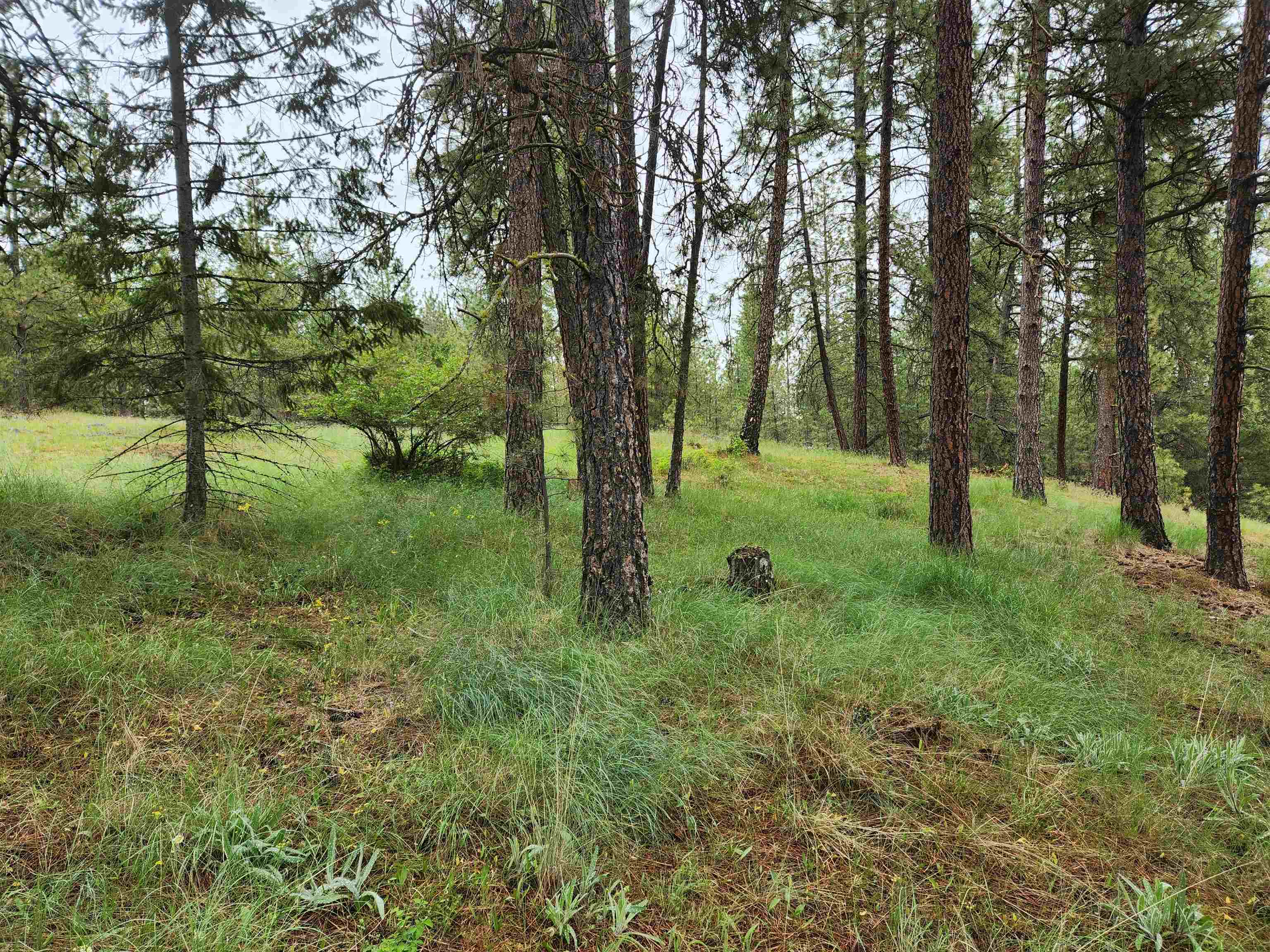 26237 North Spotted Road Deer Park, WA 99006 - Photo 30 of 32