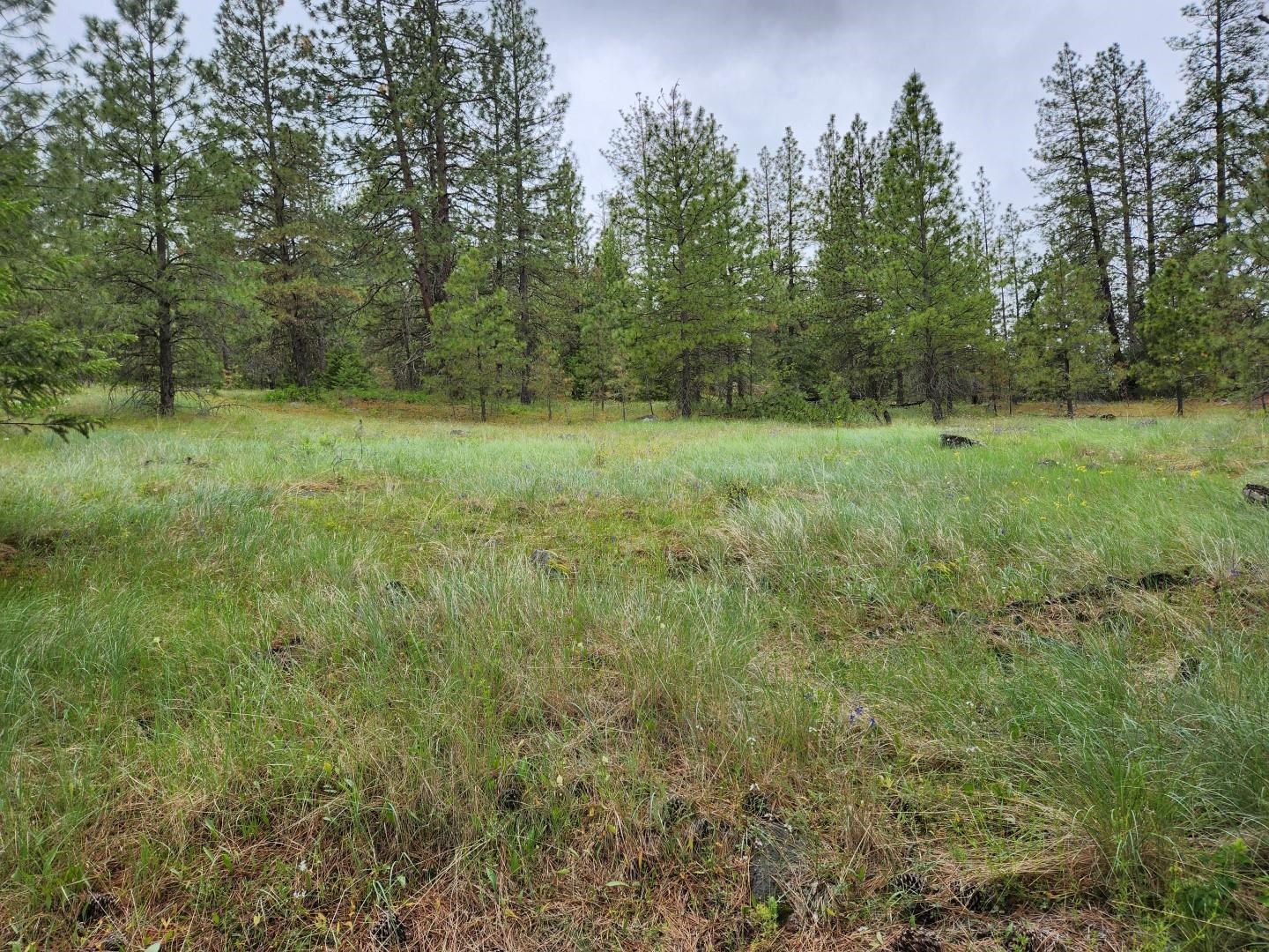 26237 North Spotted Road Deer Park, WA 99006 - Photo 31 of 32