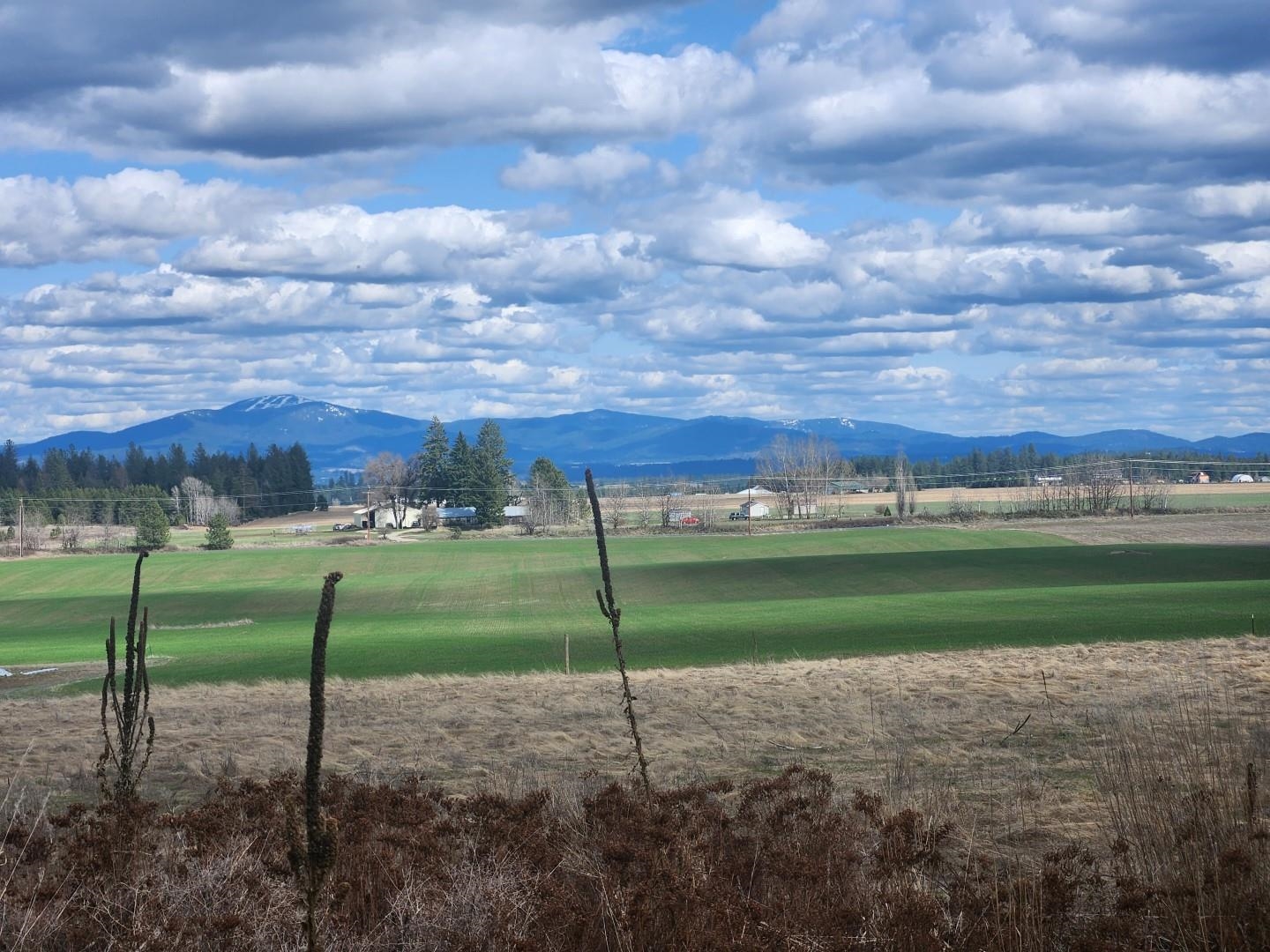 26237 North Spotted Road Deer Park, WA 99006 - Photo 9 of 32