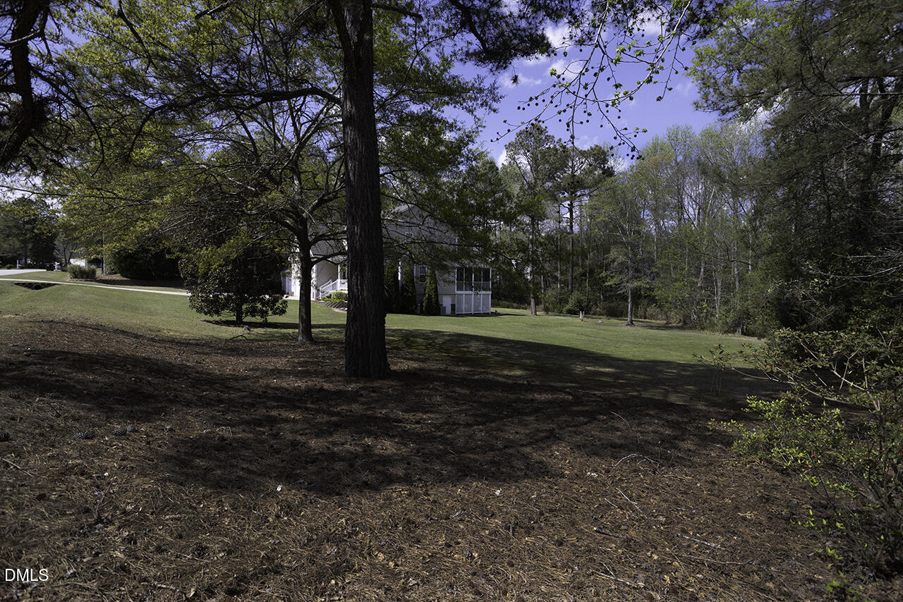 97 Bounty Circle Angier, NC 27501 - Photo 6 of 43 a view of a yard with tree s