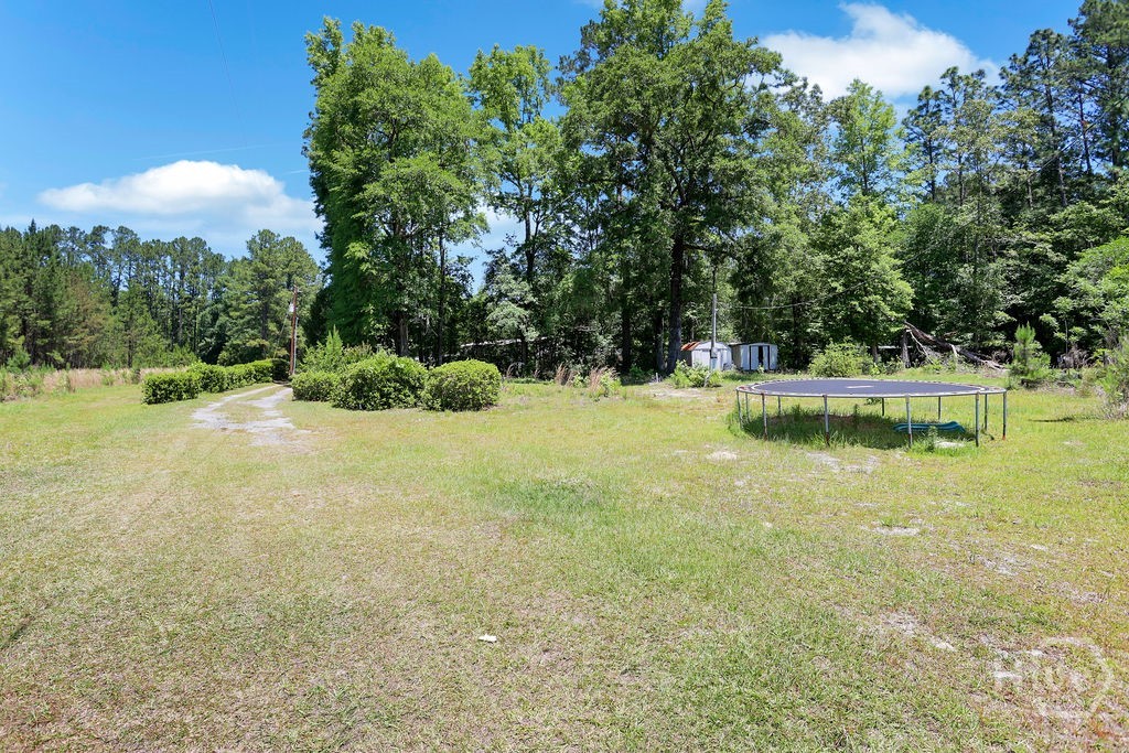 443 Reiser Road Springfield, GA 31329 - Photo 73 of 75