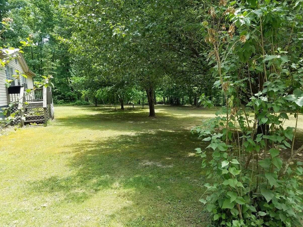 1060 Colony Road Grimsley, TN 38565 - Photo 4 of 30 Gallery Image 4