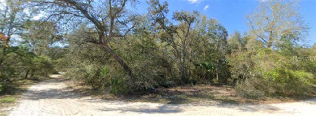 0 Lake Drive Eustis, FL 32736 - Photo 5 of 5