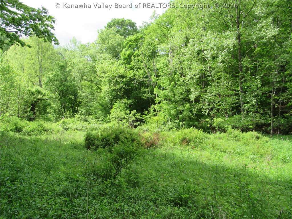 0 2nd Creek Road Kenna, WV 25248 - Photo 29 of 47 Gallery Image 29