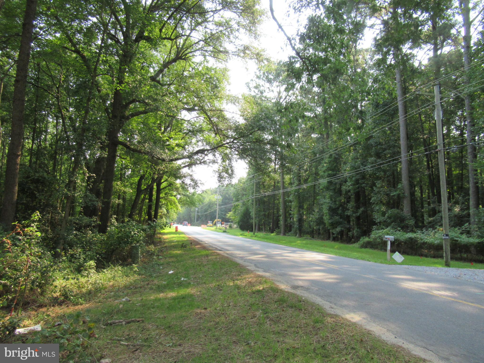 South Old State Road Ellendale, DE 19941 - Photo 4 of 9 street view south