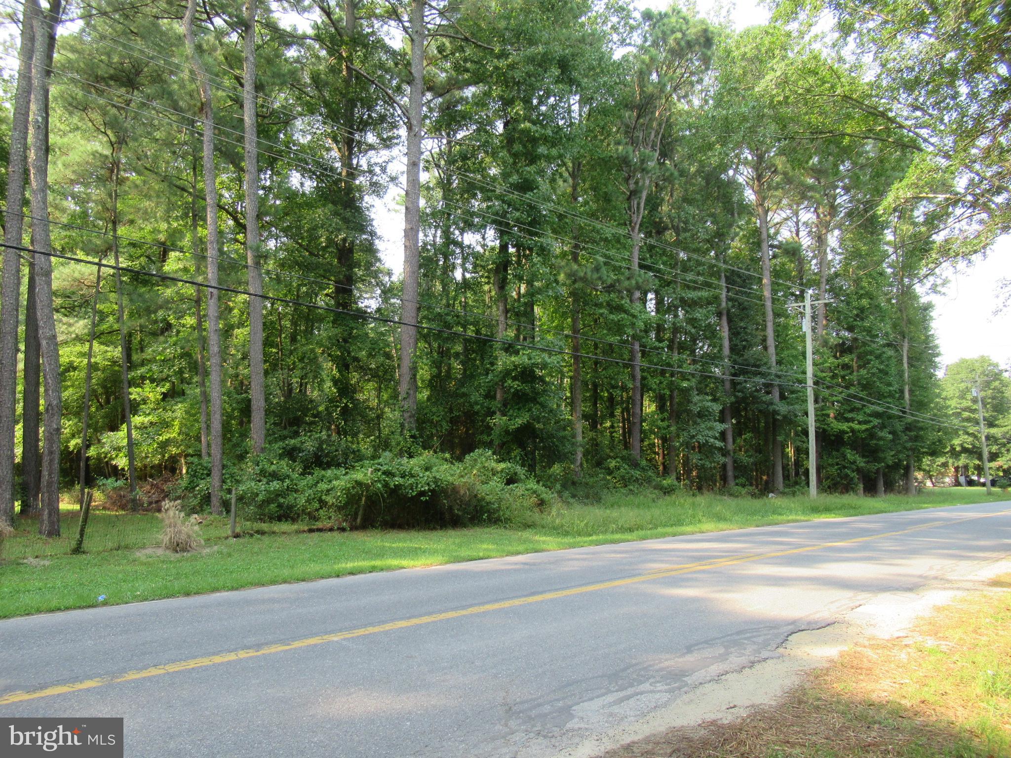 South Old State Road Ellendale, DE 19941 - Photo 5 of 9 street view north