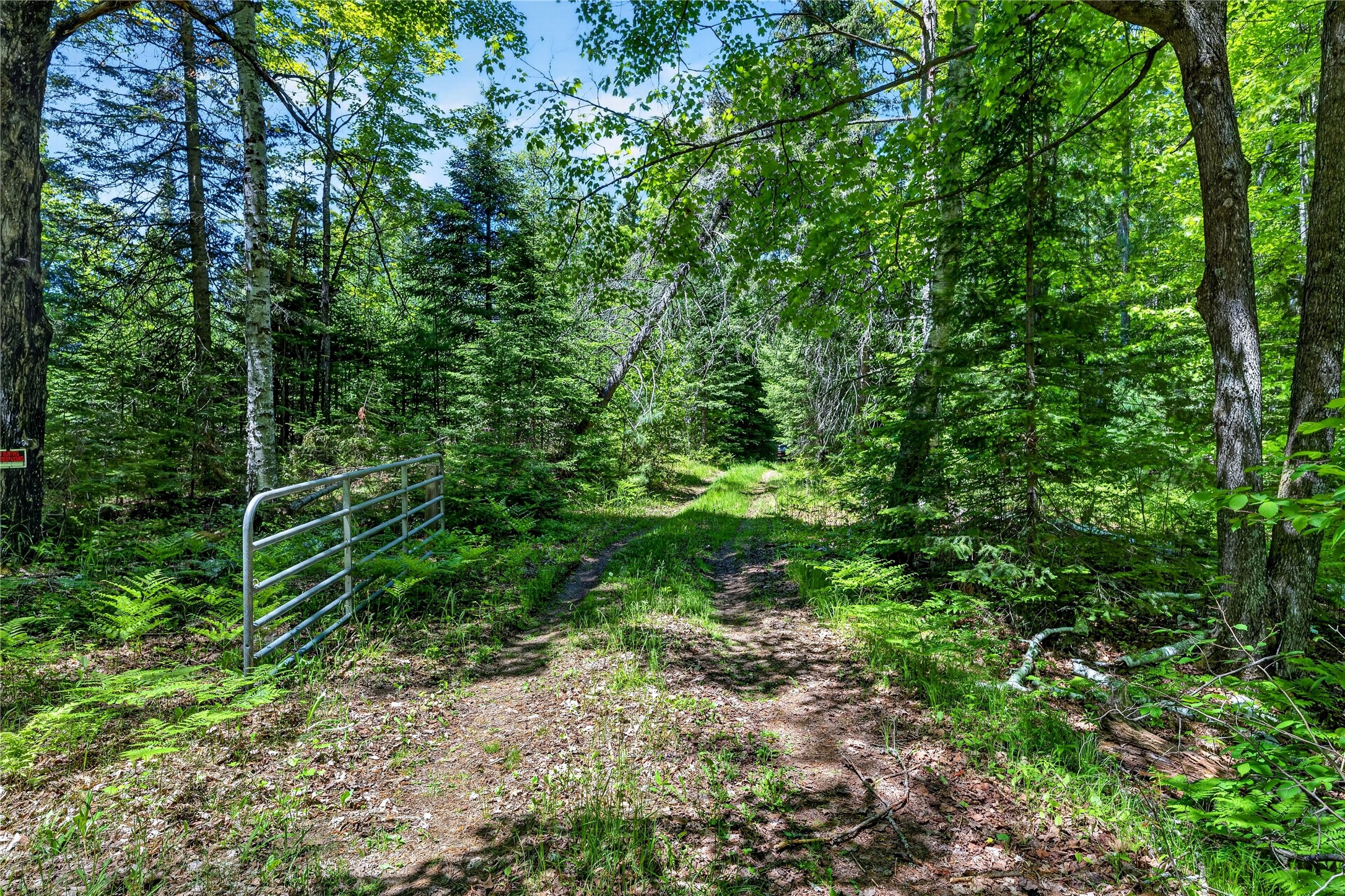 43545 Helm Pt Road Cable, WI 54821 - Photo 28 of 30