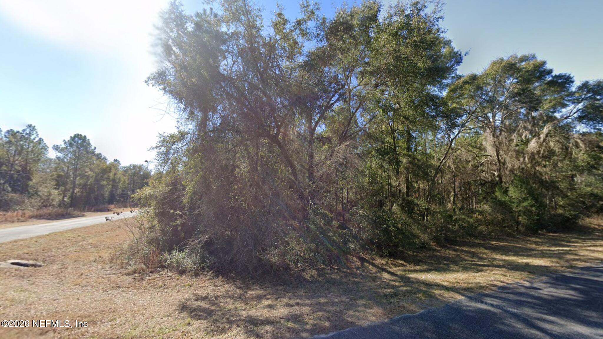 0 Southwest Jeanlea Place Fort White, FL 32038 - Photo 3 of 5 3