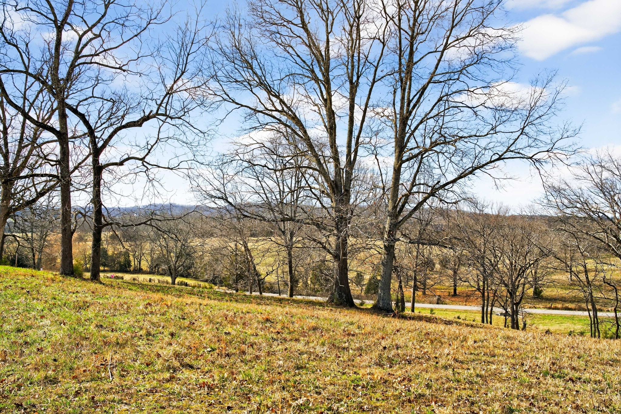 8 Collier Lane Gallatin, TN 37066 - Photo 34 of 35 a view of snow covered with snow