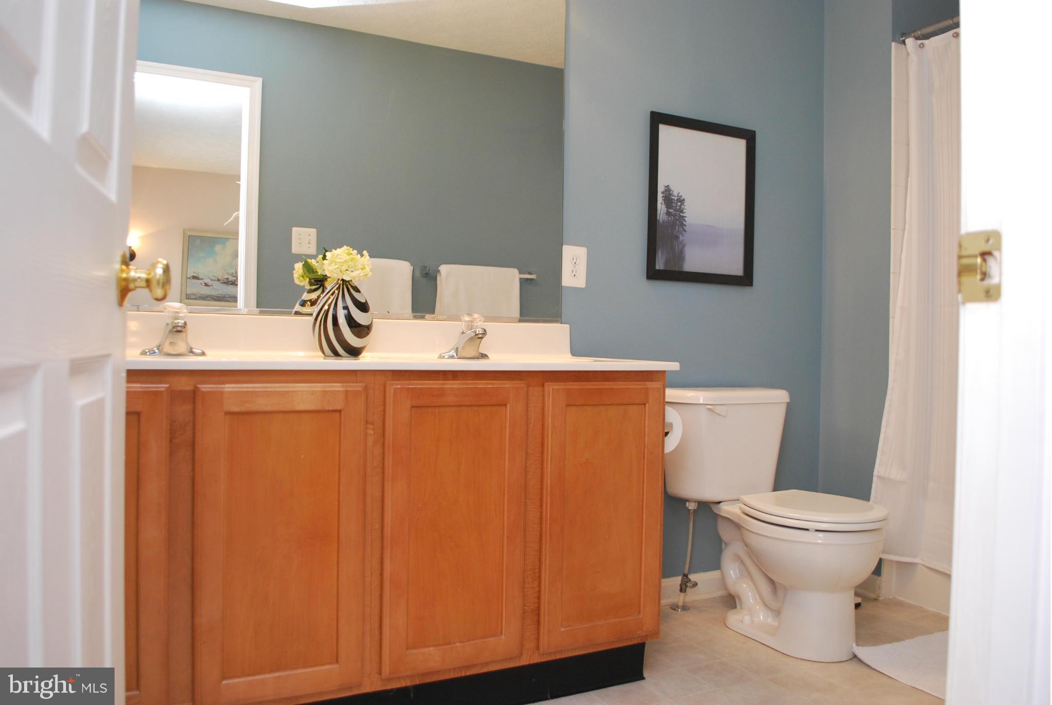 104 Broad Leaf Court Rising Sun, MD 21911 - Photo 11 of 23 Bath (Master)